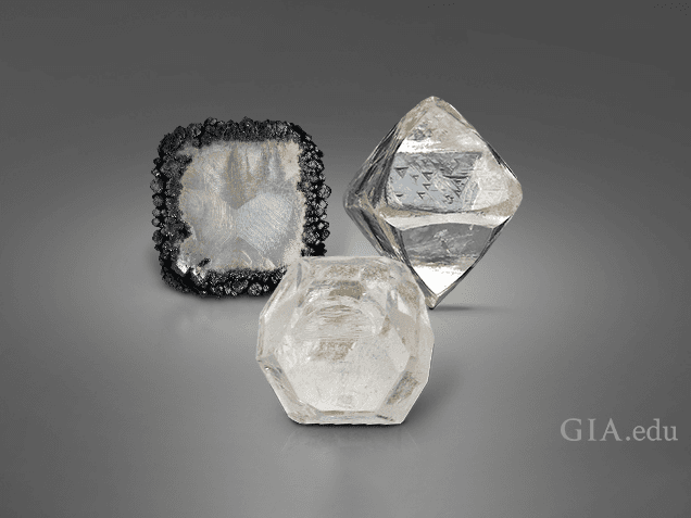 a rough CVD diamond, a rough HPHT diamond and a rough natural diamond